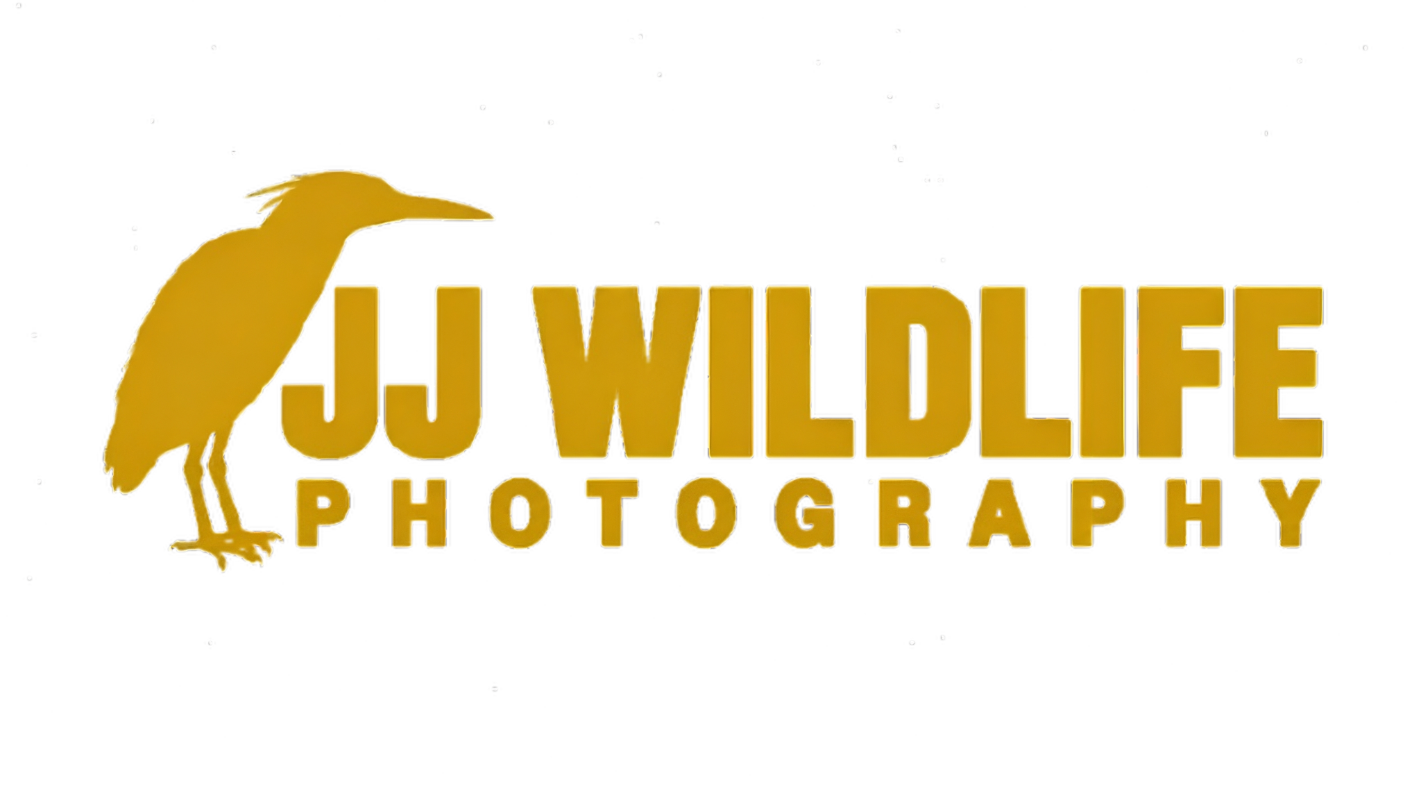 Photo Gallery